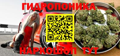 мдпв Славгород