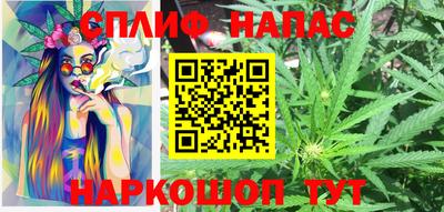 мдпв Славгород