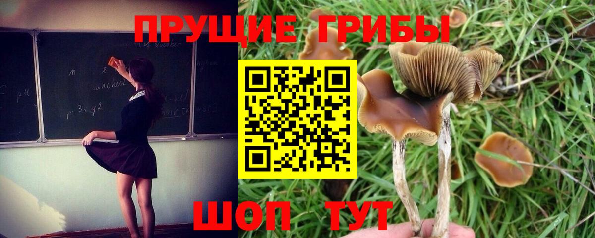 Псилоцибиновые грибы мухоморы Павлово